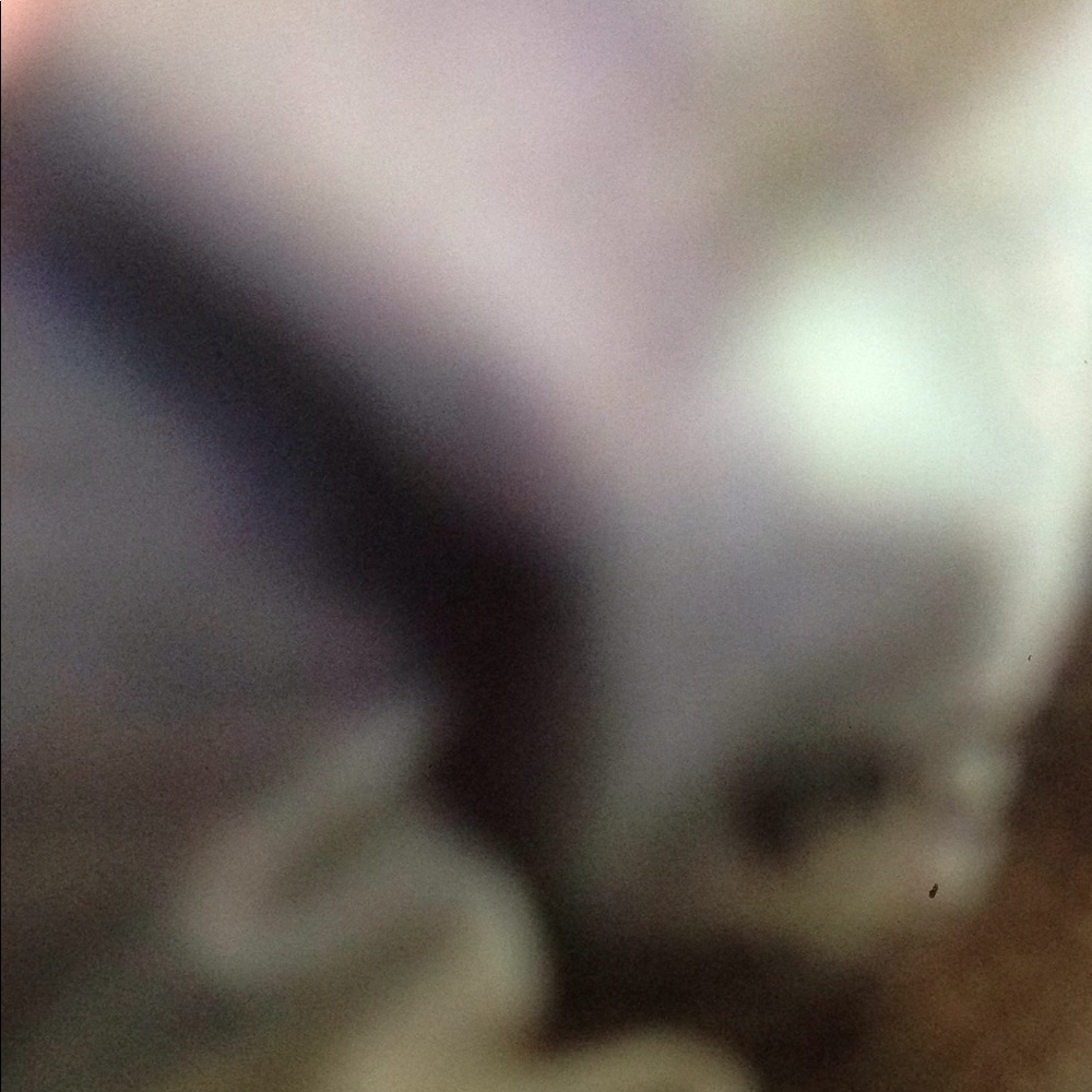 Meet your Posher, Rennie